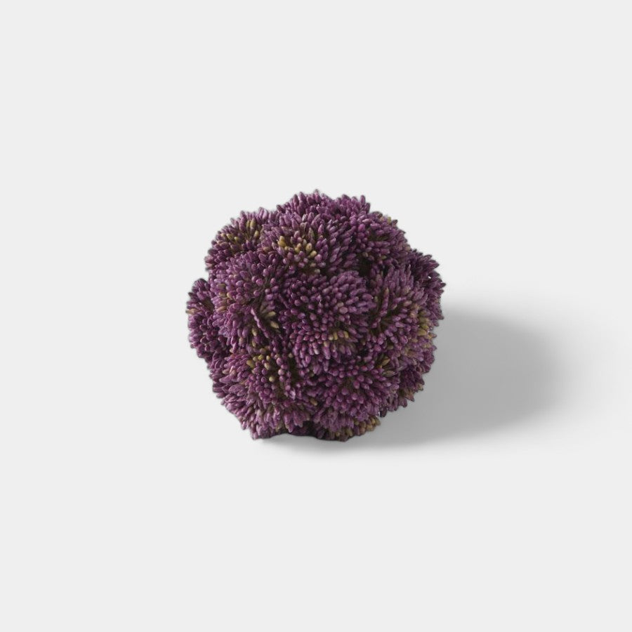 Dark Purple Sedum Ball