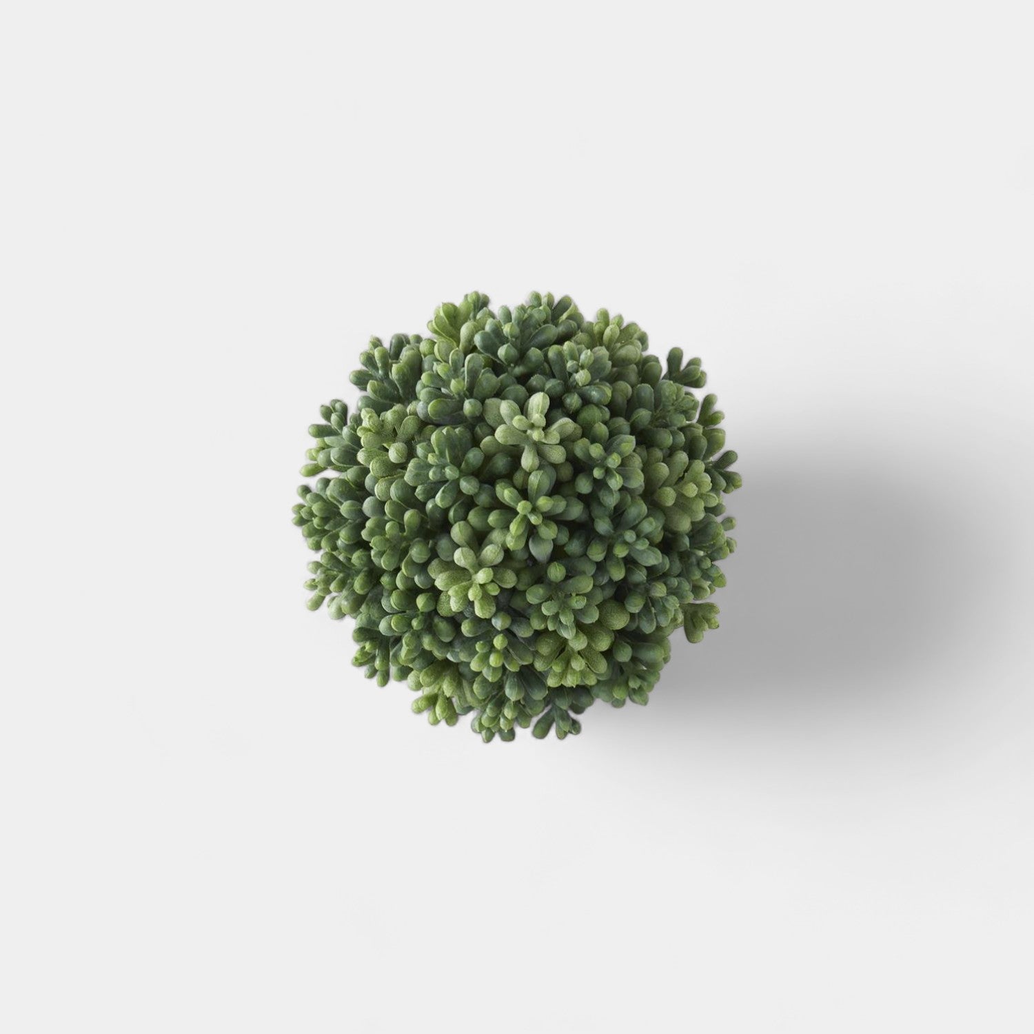 Green Berry Seed Ball