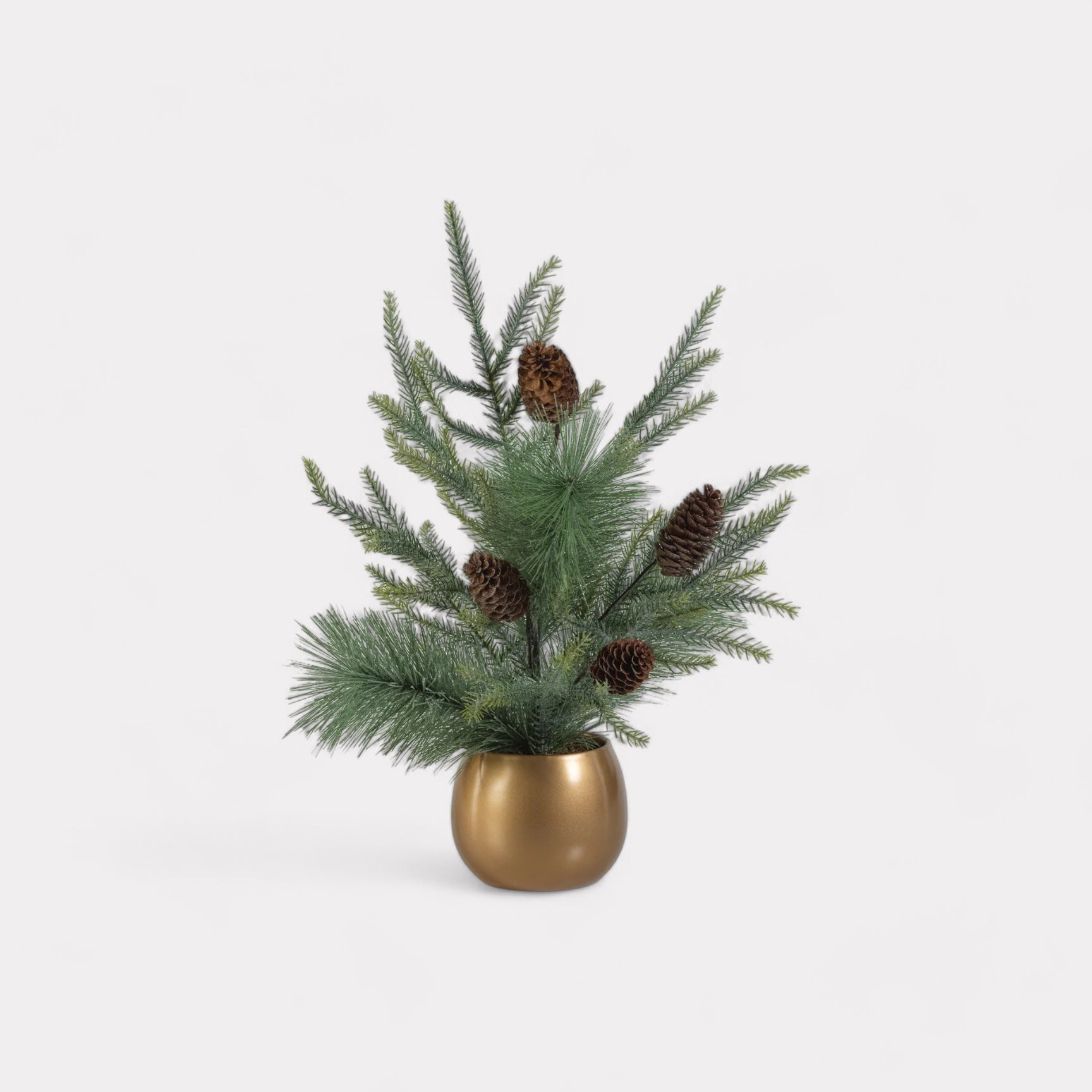 Noble Fir Tree in Gold Ceramic Pot